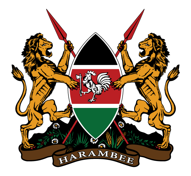 Fast IPTV Service in Kenya